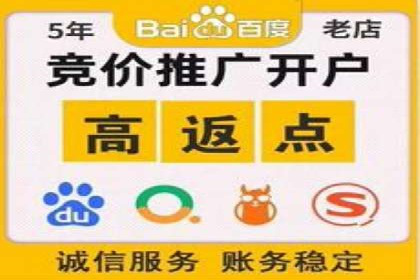热门SEM运营公司案例深度剖析